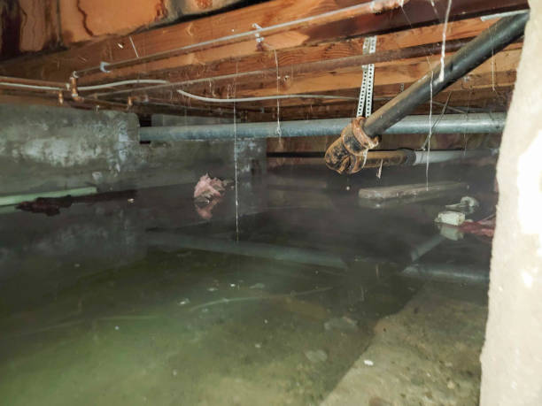 Best Water damage restoration near me  in Belmont, PA