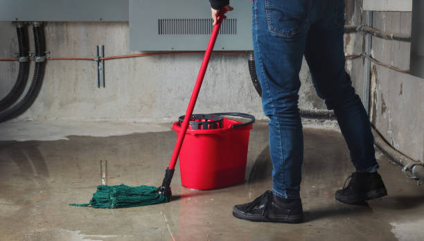 Water damage restoration experts in Belmont, PA